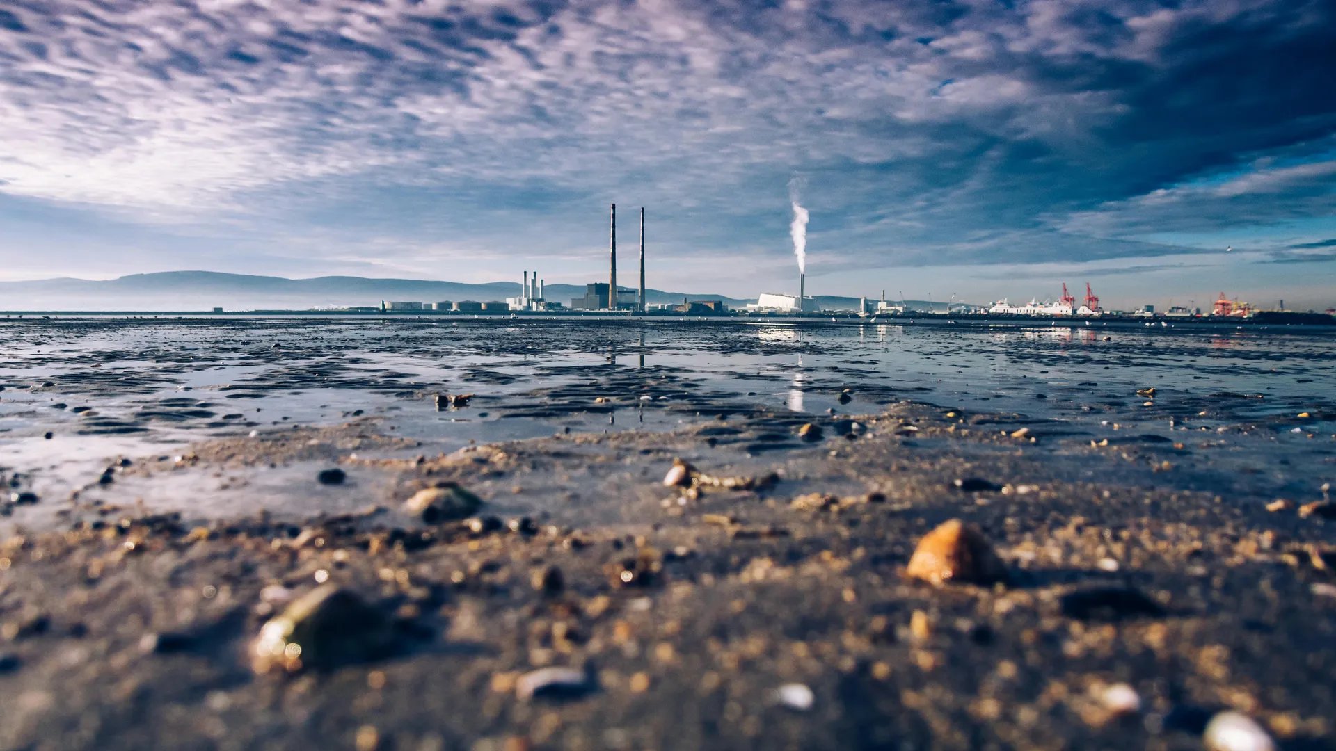 headerHesplora
