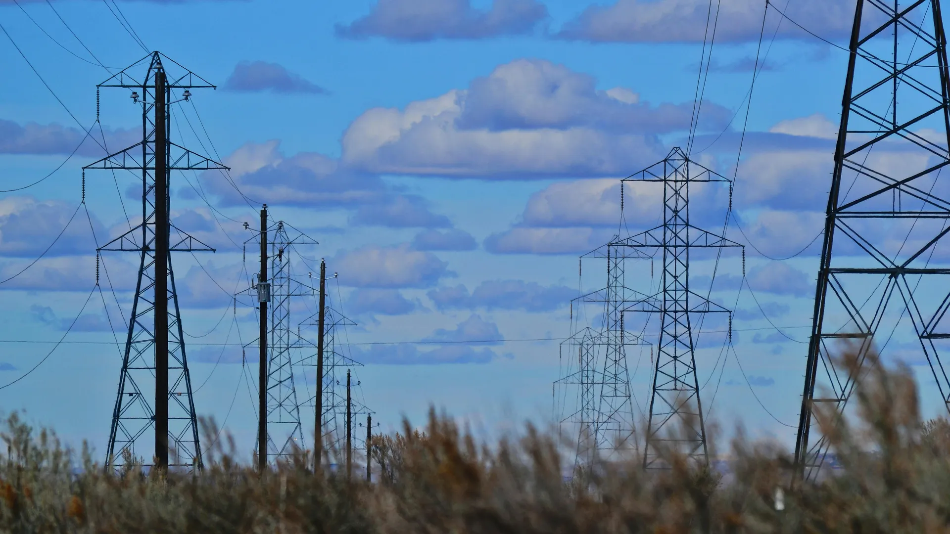 headerHesplora